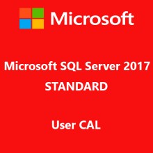 Microsoft SQL Server 2017 Standard User CAL