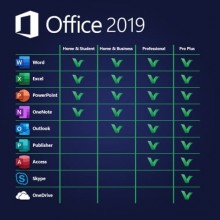 Licenza Office 2019 Professional Plus per Windows 10/11