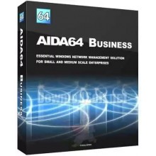 AIDA64 Business - 1 PC - Licenza a vita