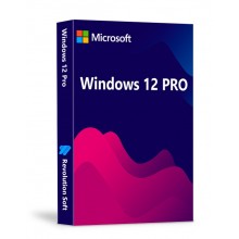 Windows 12 Pro